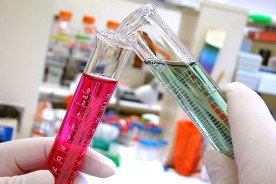 a pharmaceutical lab experiment